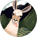 Profilbild von „Otti“